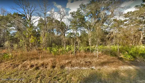 10489 Florida Wren Avenue Weeki Wachee FL 34614