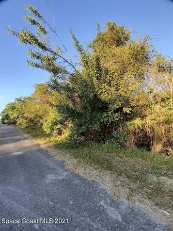 1035 S Carpenter Road Titusville FL 32796