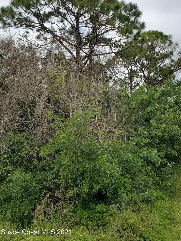 273 Stendal Road NW Palm Bay FL 32907