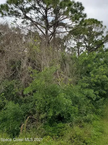 273 Stendal Road NW Palm Bay FL 32907