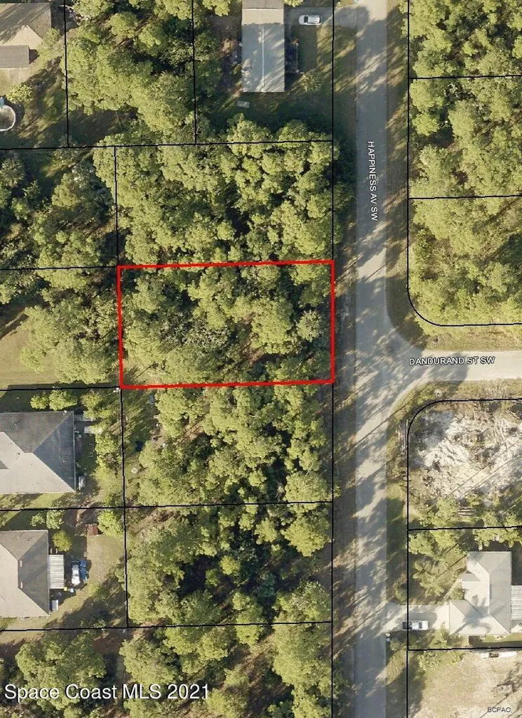 828 Happiness Avenue SW Palm Bay FL 32908
