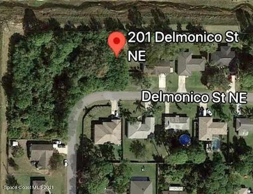 201 Delmonico Street NE Palm Bay FL 32907