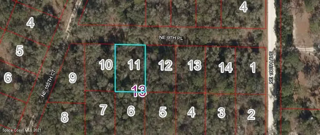 0 NE 9th Place Williston FL 32696