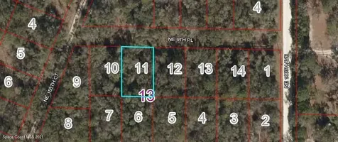0 NE 9th Place Williston FL 32696