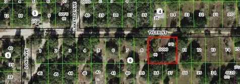 2503 Tyler Street Inverness FL 34452