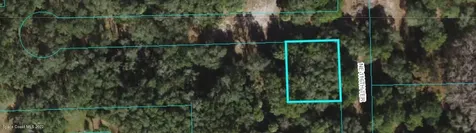 0 NE 116th Terrace Fort Mccoy FL 32134