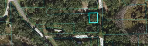 0 NE 116th Terrace Fort Mccoy FL 32134
