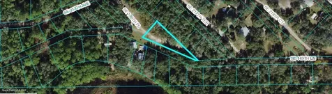 21741 SE 149th Lane Umatilla FL 32784