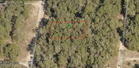 706 Longwood Avenue Inverness FL