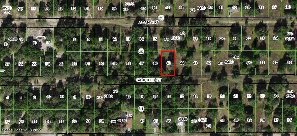 2402 Garfield Street Inverness FL