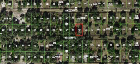 2402 Garfield Street Inverness FL