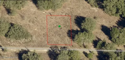 2216 Adams Street Inverness FL