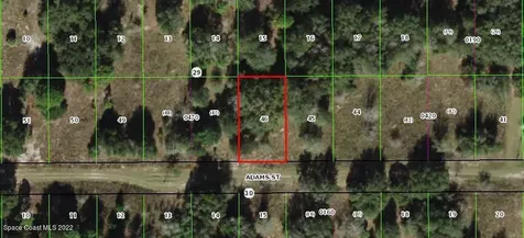2404 Adams Street Inverness FL