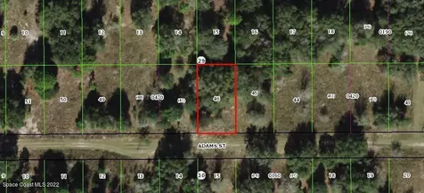 2404 Adams Street Inverness FL