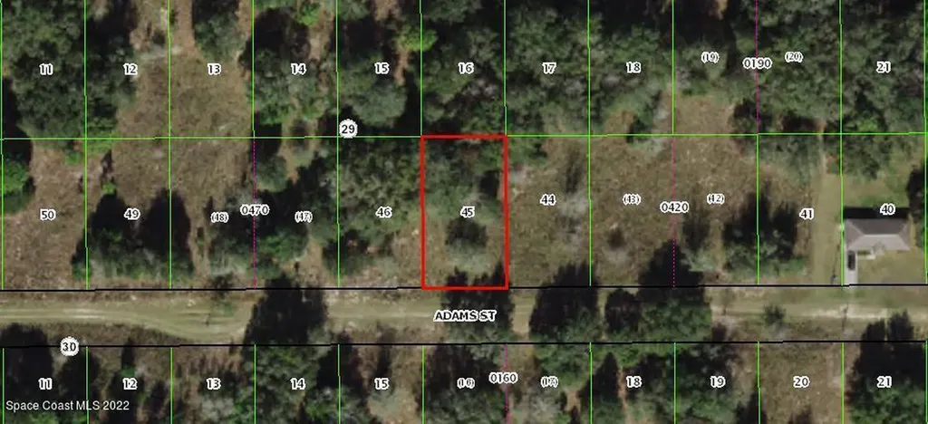 2402 Adams Street Inverness FL