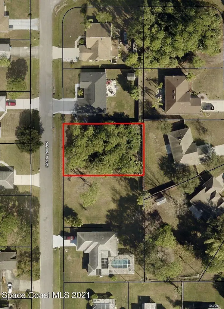 1235 Camas Avenue NW Palm Bay FL 32907