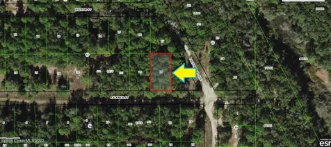 1902 Falkner Street Inverness FL