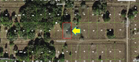 2314 Van Buren Street Inverness FL