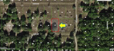 2306 Reagan Street Inverness FL