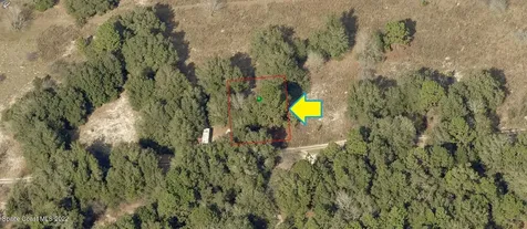 2314 Reagan Street Inverness FL