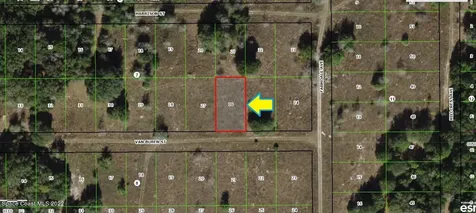 2306 Van Buren Street Inverness FL