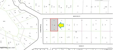 2109 Mistletoe Street Inverness FL