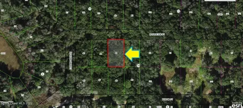 2107 Mistletoe Street Inverness FL