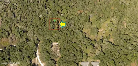 2107 Mistletoe Street Inverness FL