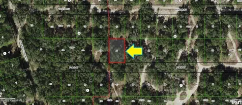 3008 Polk Street W Inverness FL