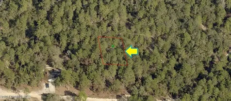 2713 Hillery Street Inverness FL 34452