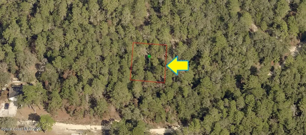 2711 Hillery Street Inverness FL 34452