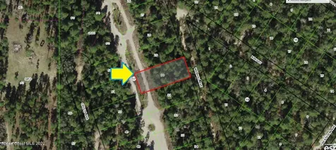 115 Webhill Avenue Inverness FL 34452