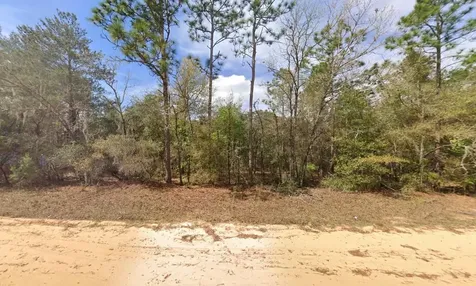 421 Brett Avenue Interlachen FL 32148