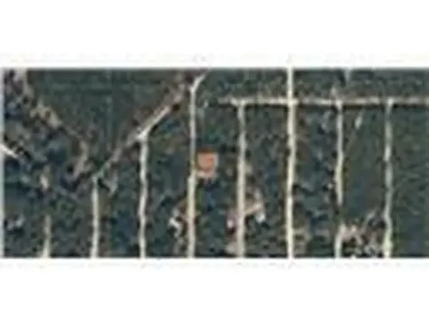 622 Kennedy Avenue Interlachen FL 32148