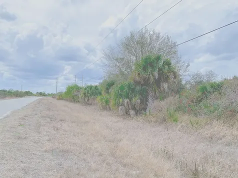 342 Trotters Street Palm Bay FL 32909