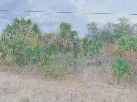 342 Trotters Street Palm Bay FL 32909
