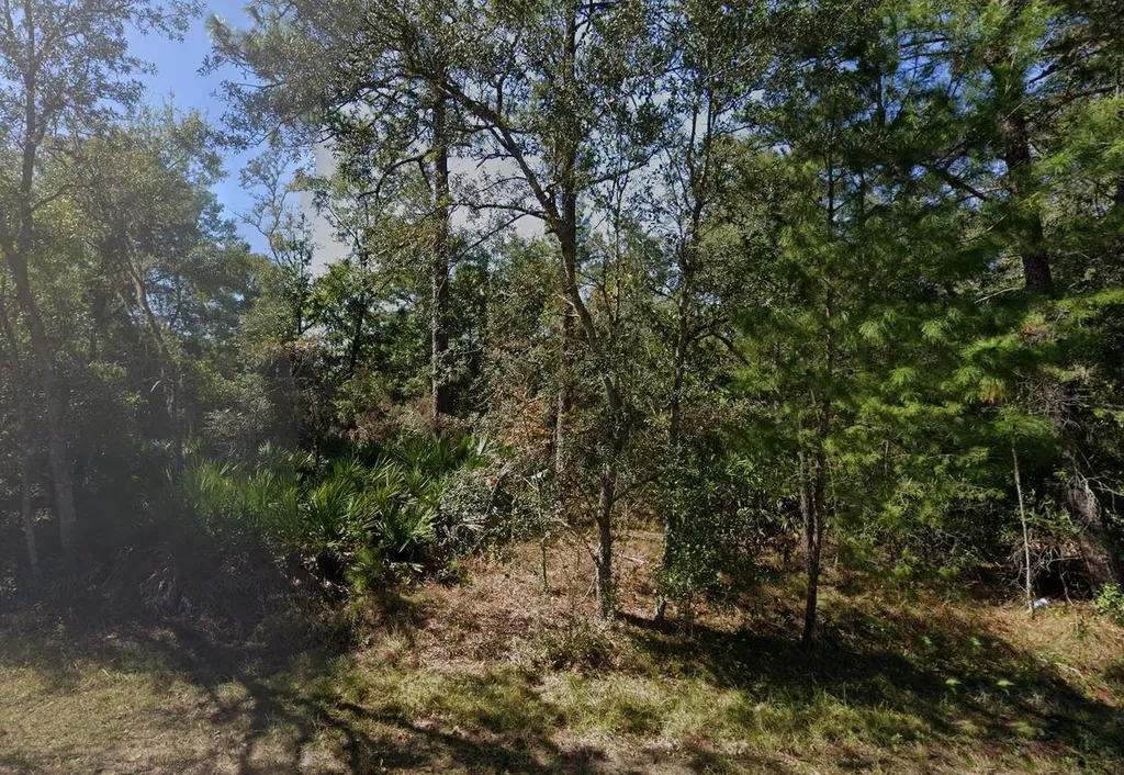 Tbd Theresa Avenue Interlachen FL 32148