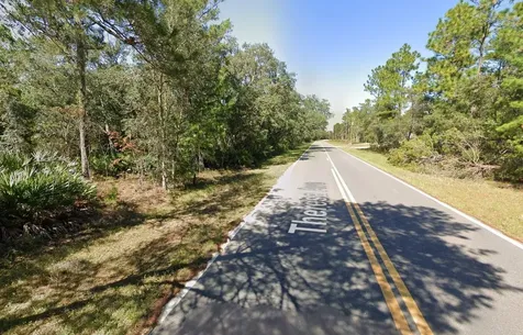 Tbd Theresa Avenue Interlachen FL 32148