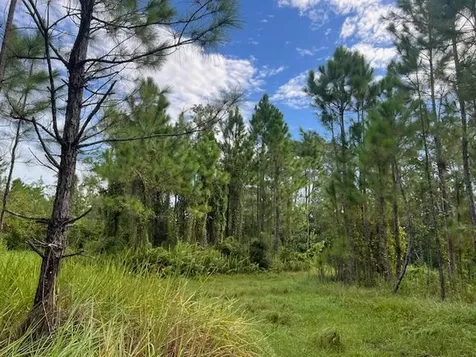 1135 Greenfield Street Lake Placid FL 33852