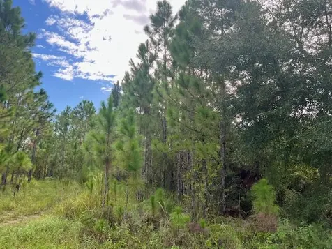 1135 Greenfield Street Lake Placid FL 33852