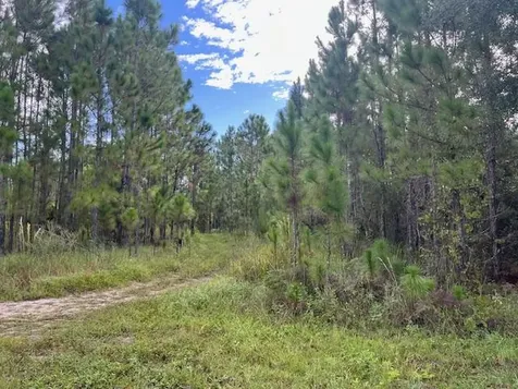 1135 Greenfield Street Lake Placid FL 33852