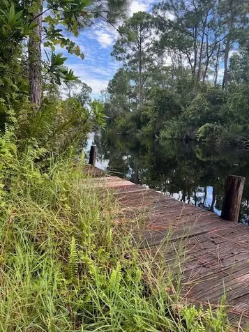 1135 Greenfield Street Lake Placid FL 33852
