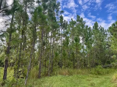 1135 Greenfield Street Lake Placid FL 33852