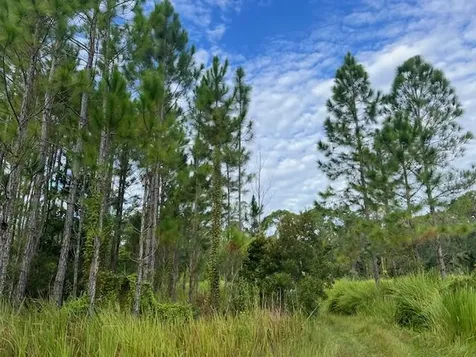 1135 Greenfield Street Lake Placid FL 33852