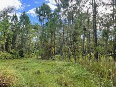 1135 Greenfield Street Lake Placid FL 33852
