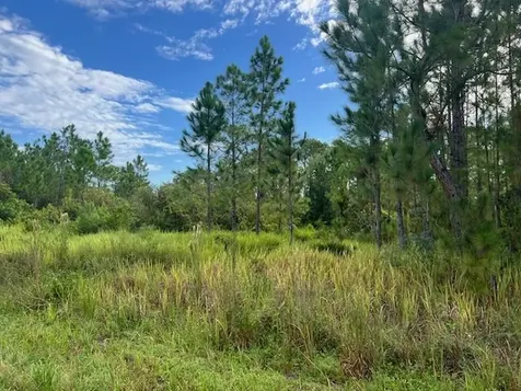 1137 Greenfield Street Lake Placid FL 33852