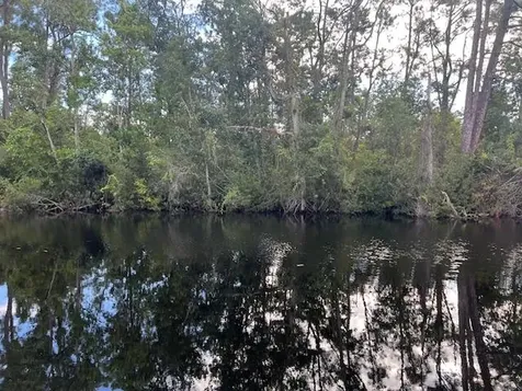 1137 Greenfield Street Lake Placid FL 33852