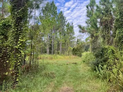 1137 Greenfield Street Lake Placid FL 33852