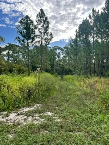 1137 Greenfield Street Lake Placid FL 33852