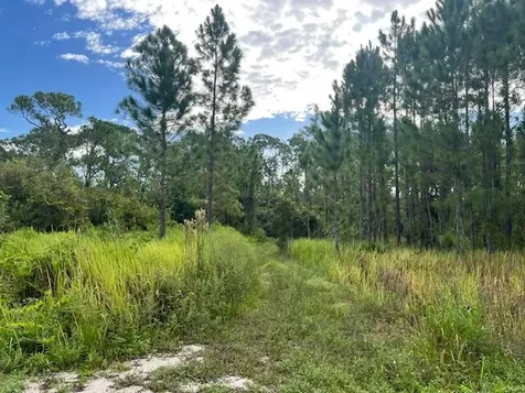 1137 Greenfield Street Lake Placid FL 33852